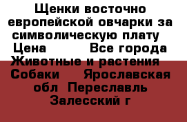 Щенки восточно европейской овчарки за символическую плату › Цена ­ 250 - Все города Животные и растения » Собаки   . Ярославская обл.,Переславль-Залесский г.